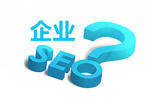 網(wǎng)站建設與軟件服務 數(shù)字化時代的兩大驅動力